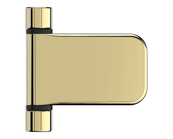 ProSecure Hinge — Gold
